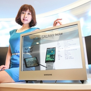 Os dentes dos cães e dos gatos também são para escovar