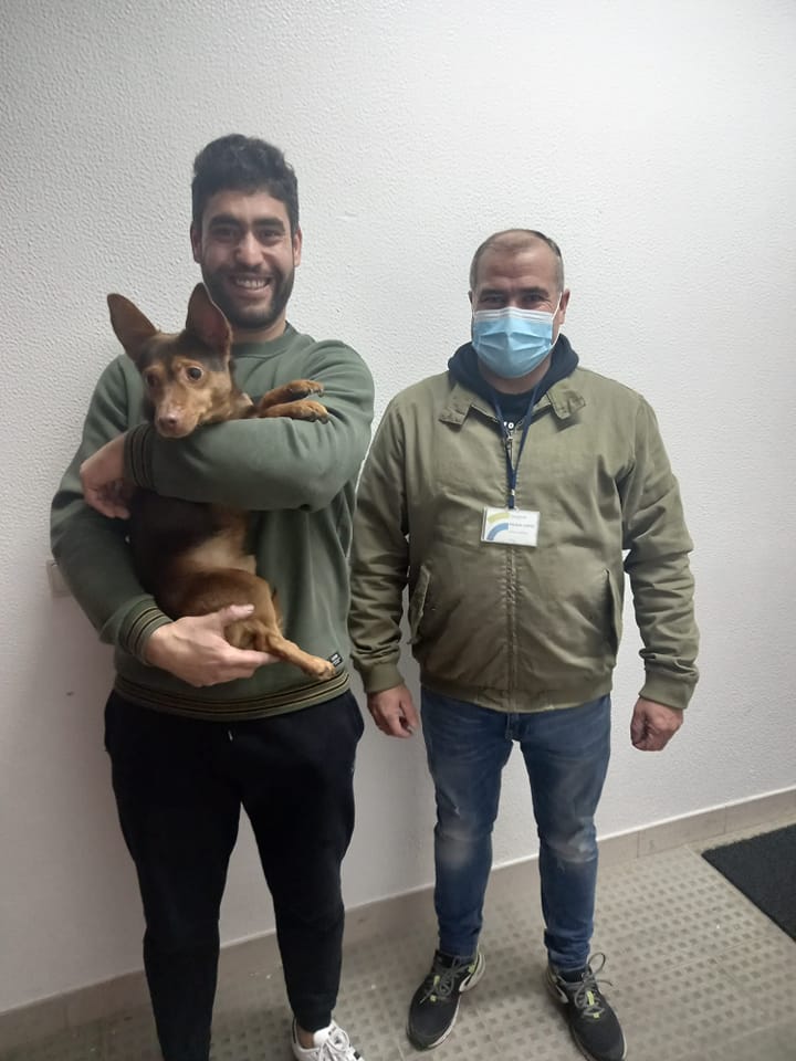 Cão desaparecido em Barcelos regressa a casa quatro anos depois. “Foi a melhor prenda de Natal”