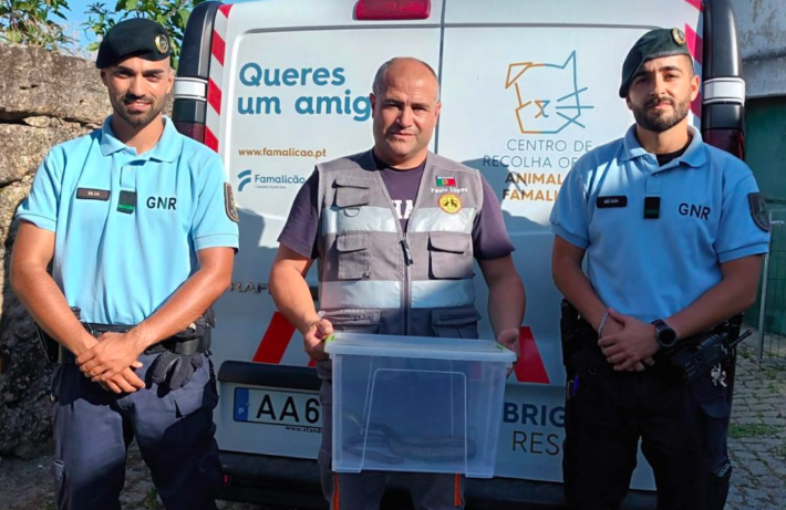 Cobra com 2 metros encontrada dentro da casa de banho de uma residência em Famalicão