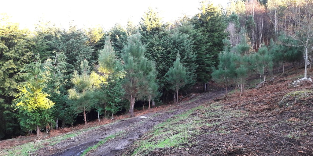 Do Douro ao mar, passando pela serra. 7 hotéis com vistas maravilhosas