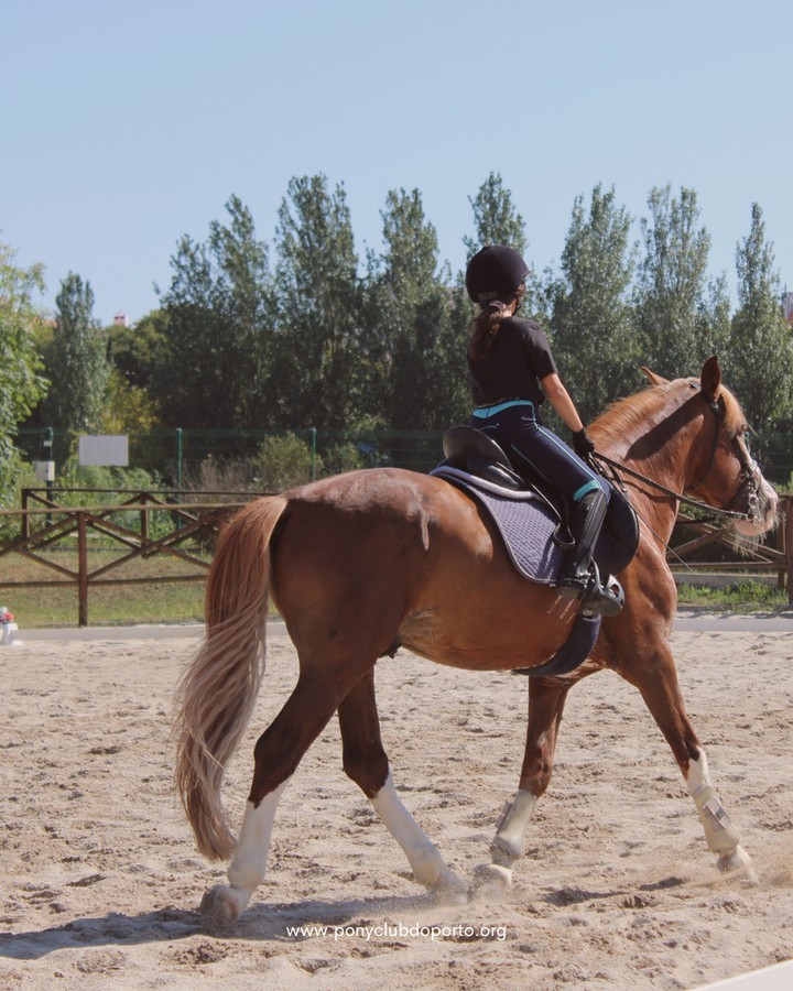 Não sabe onde deixar os miúdos nas férias de Natal? 9 ideias de espaços com atividades (há trampolins e póneis)