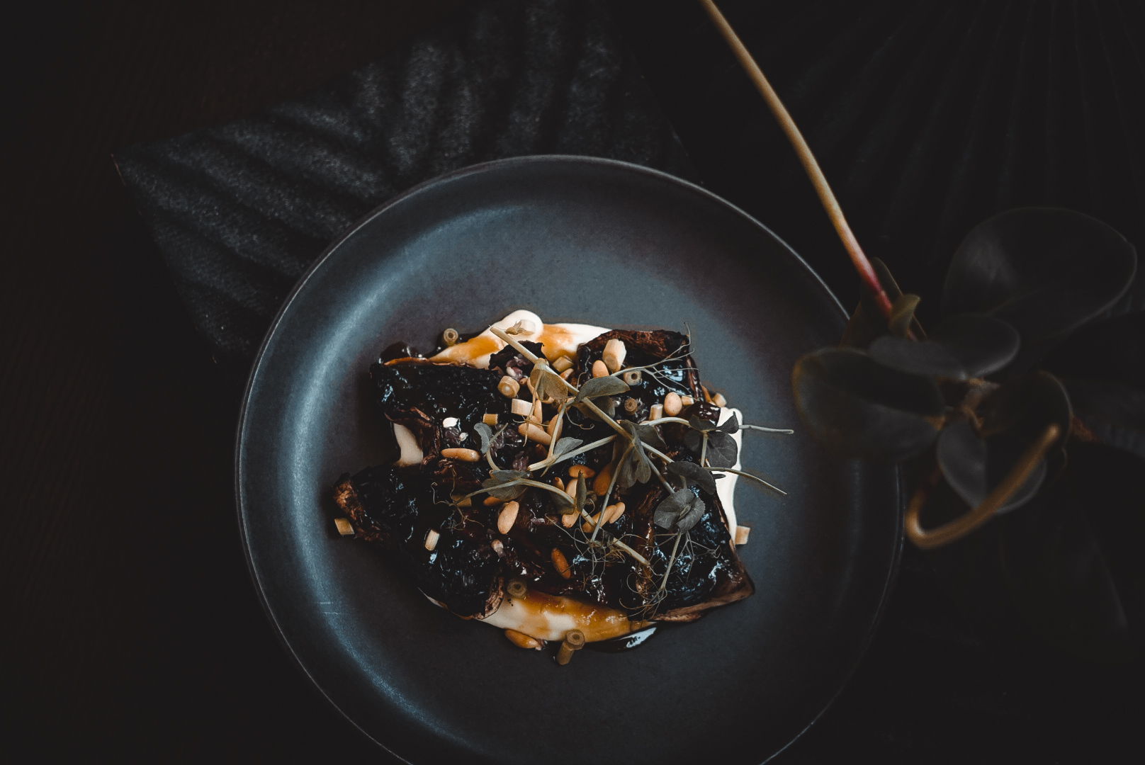 Black Trumpet. Fomos ao restaurante mais cool de Lisboa onde os cogumelos são as estrelas da festa