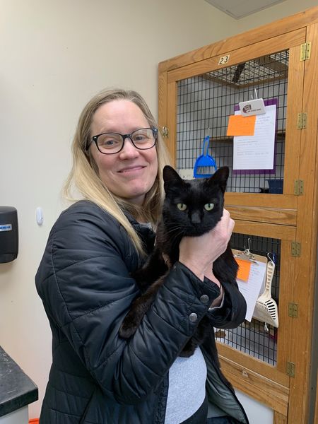 Milagre de Natal. Este gato foi encontrado 5 meses depois de ter desaparecido numa autoestrada nos EUA