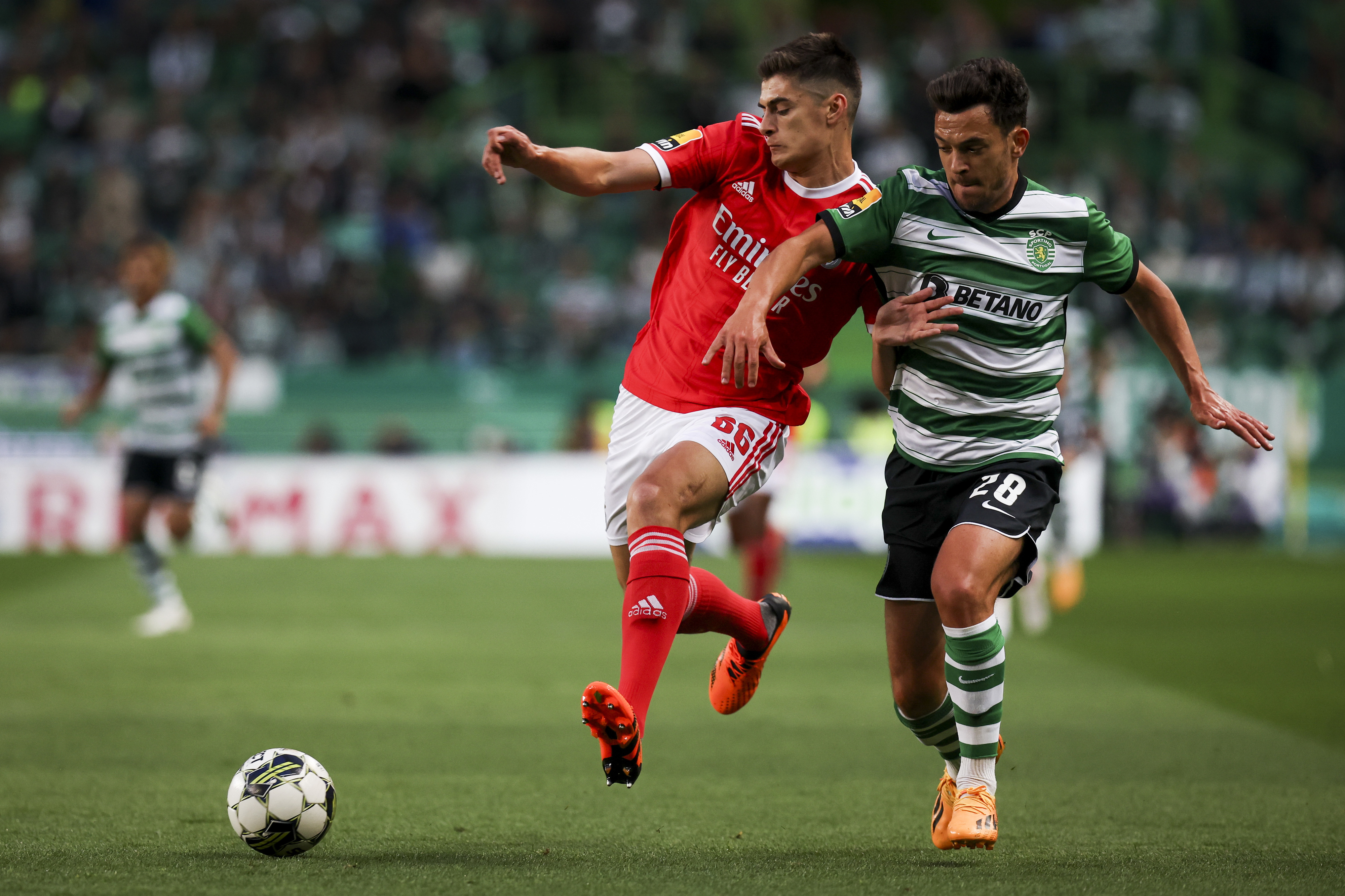 Benfica empata e adia a conquista da Liga Portuguesa de futebol – RNA