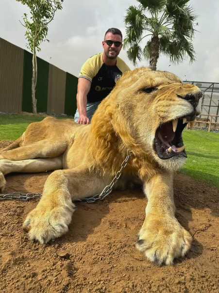 Marco Costa mostra-se ao lado de animais acorrentados e é acusado de promover a “cruel indústria”