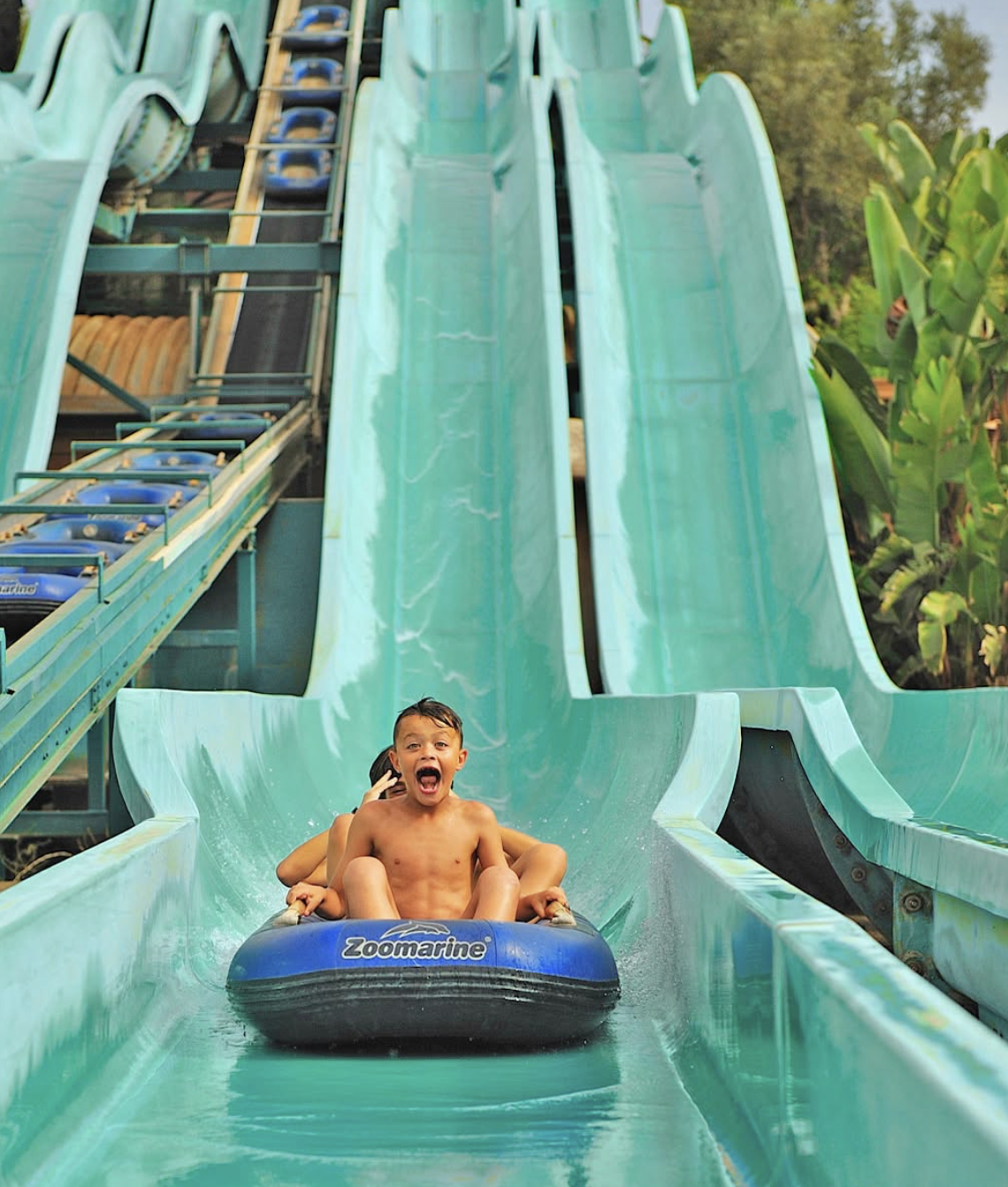 Conheça os golfinhos do Zoomarine em 2026. Os bilhetes estão com desconto (por tempo limitado)