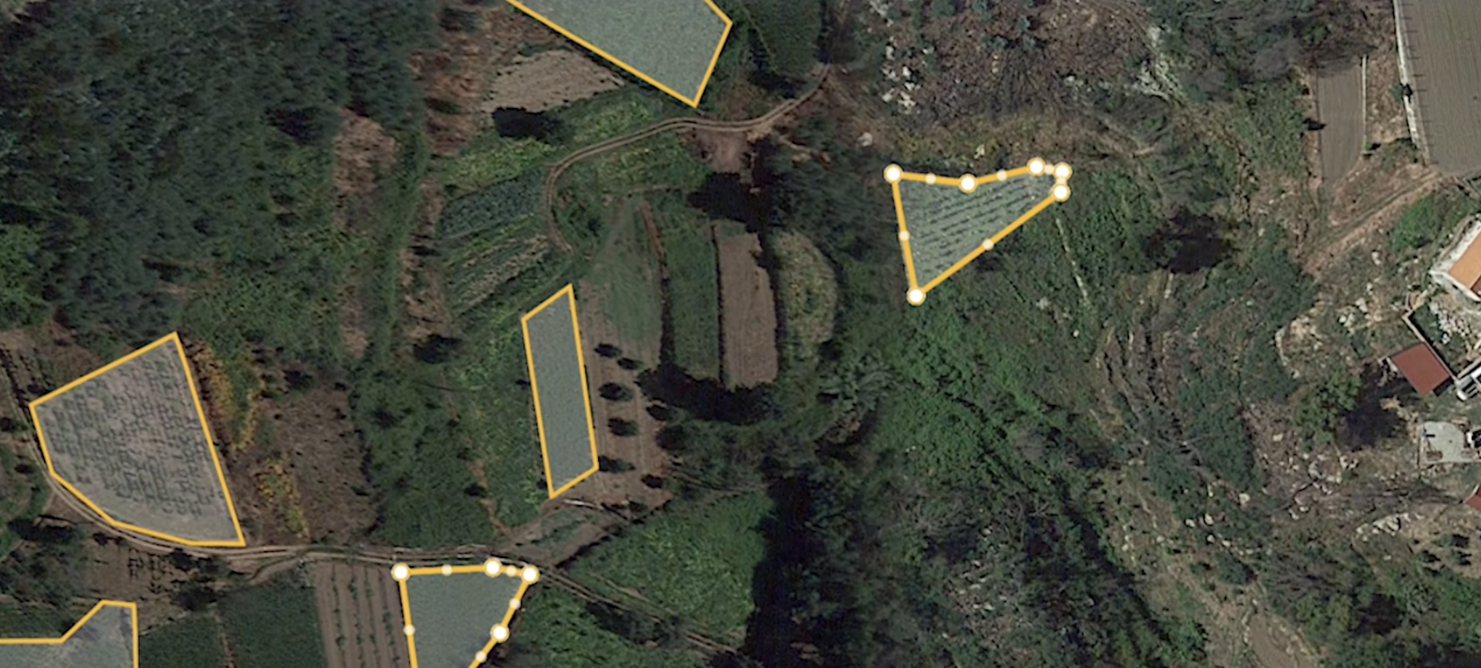 Este restaurante italiano vai oferecer tiramisù no dia mais triste do ano. Saiba como aproveitar