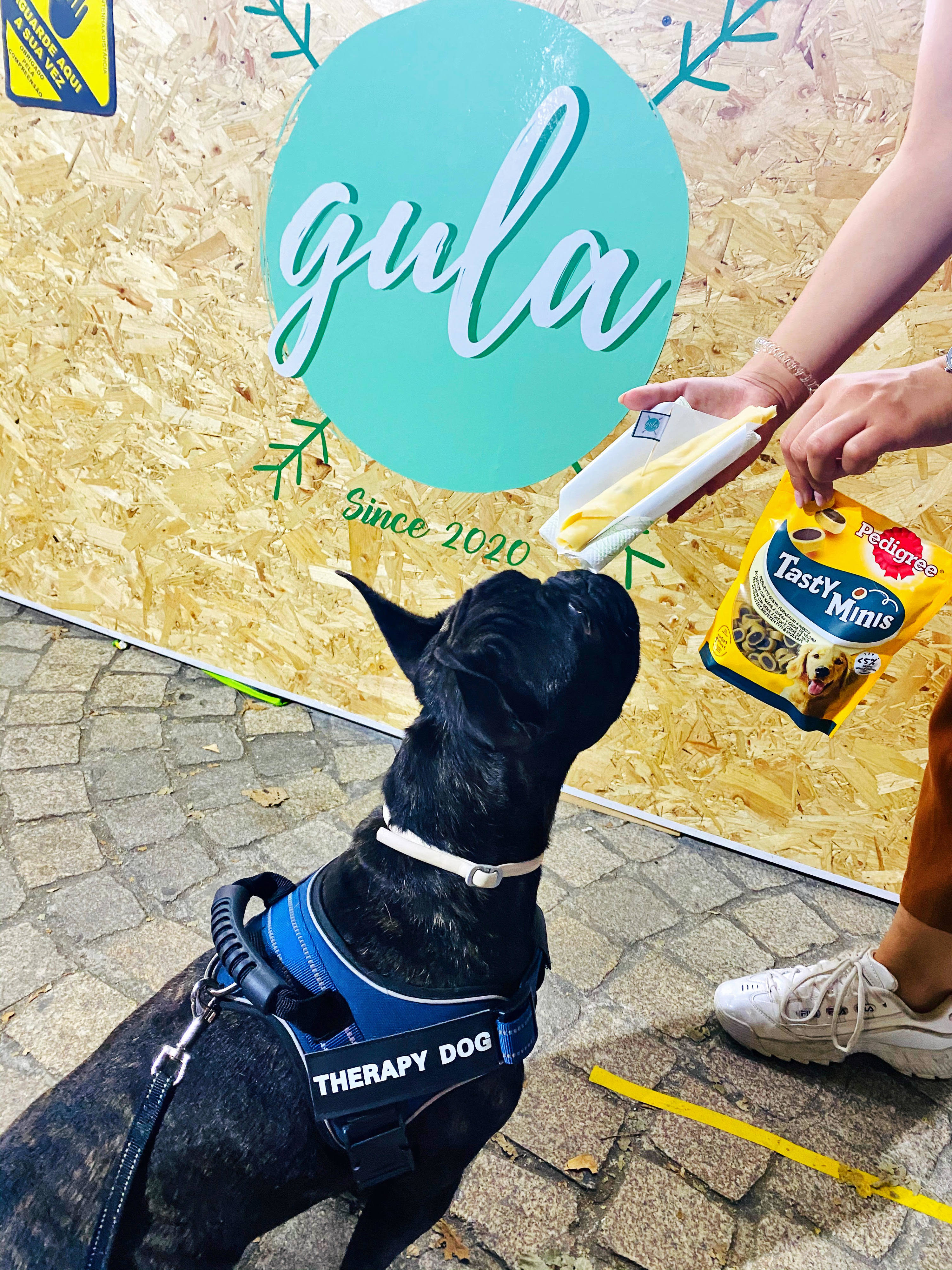 Gula. Aqui há crepes de Nutella para os donos e um de biscoitos Pedigree para os cães