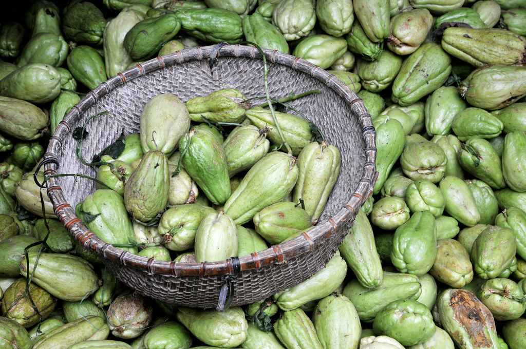 Não sabe o que fazer com chuchu? Dá para tudo. Conheça estas 4 receitas