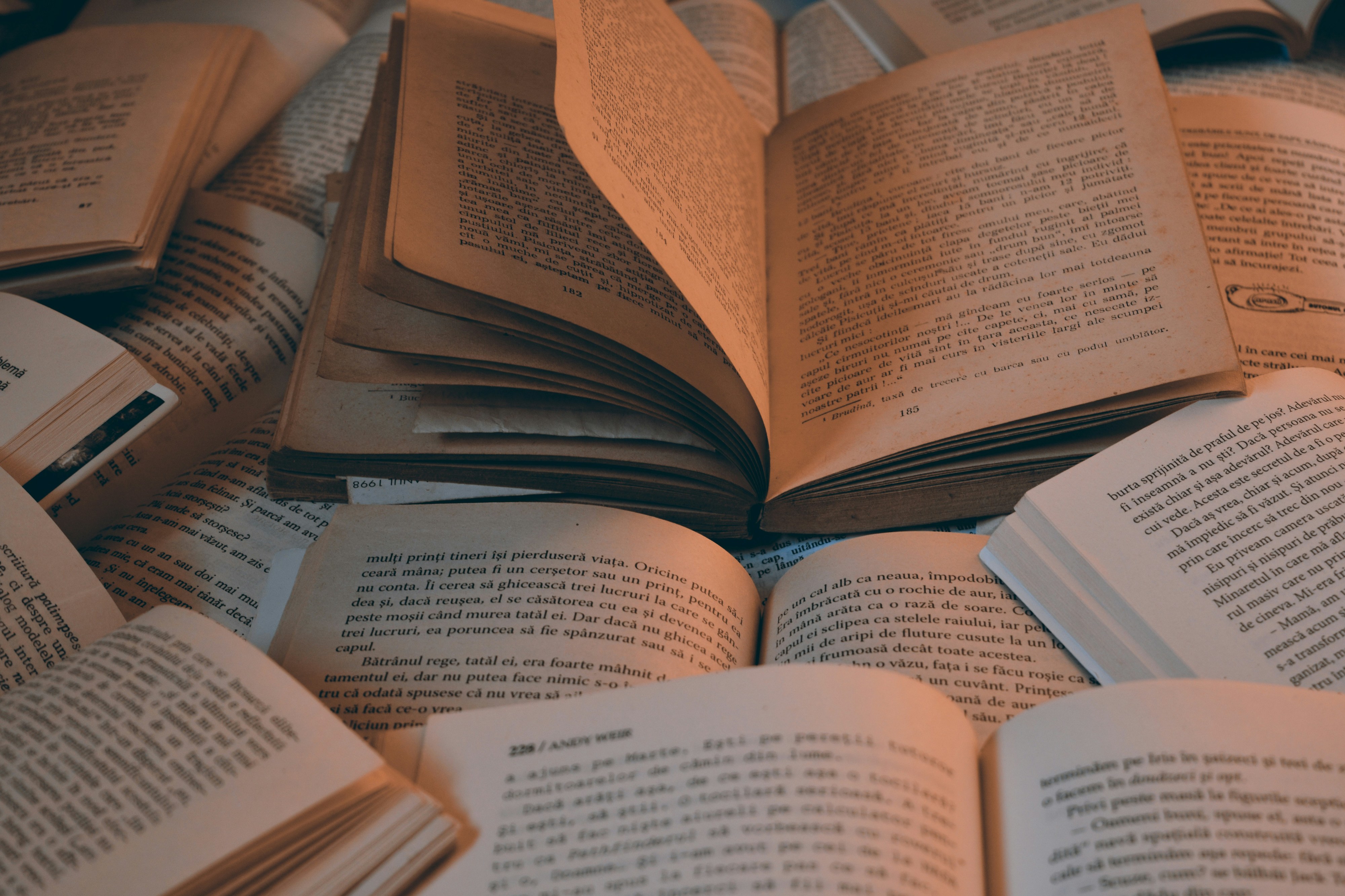 O Mercado do Livro do Continente está de regresso. Espreite 10 sugestões para ler nas férias