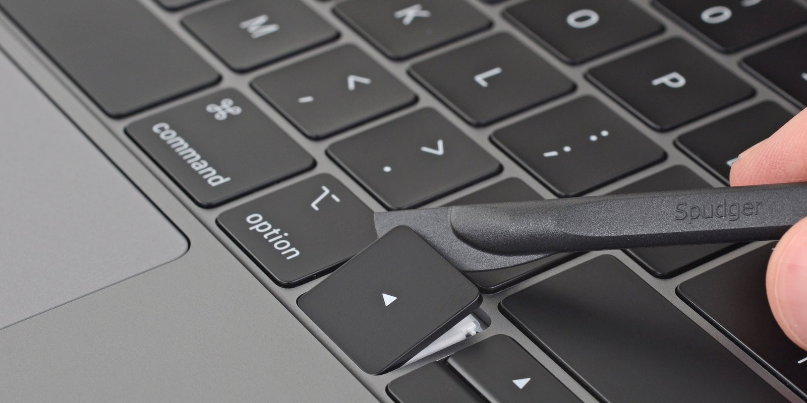 O documentário sobre Zé Pedro dos Xutos & Pontapés vai passar na televisão portuguesa