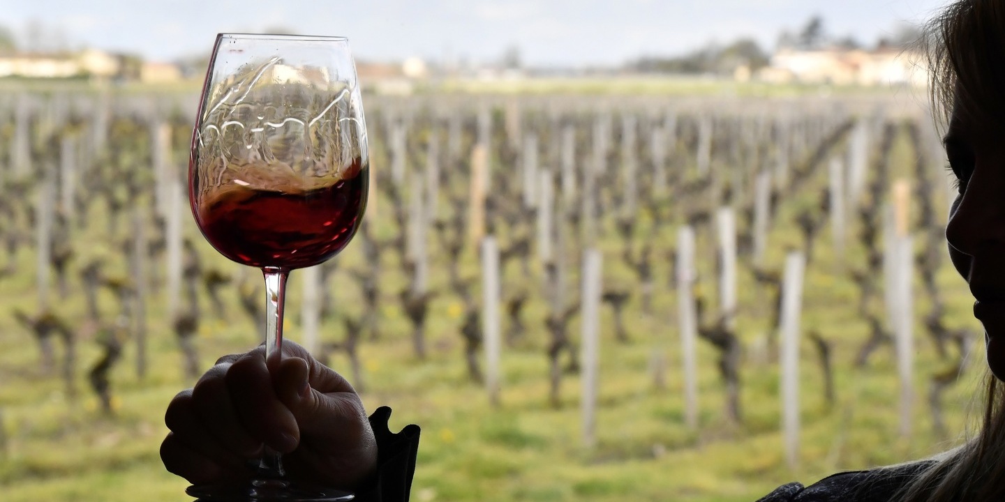 Portugal to celebrate National Vine and Wine Day on 31 July