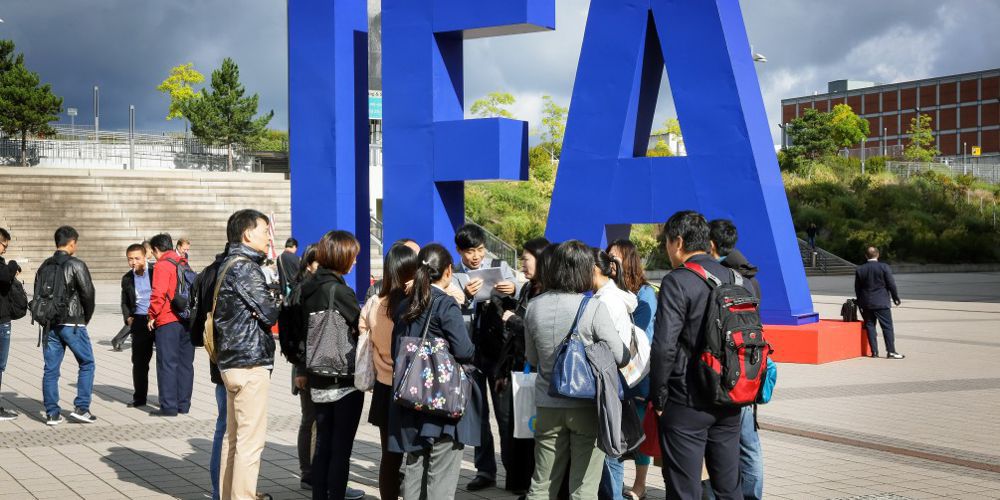 5 ideias criativas para utilizar flores