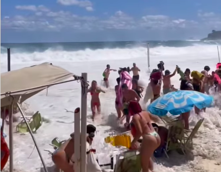 Rita Pereira testemunha onda gigante no Brasil. “Vi uma criança a ser arrastada. Tudo foi levado”