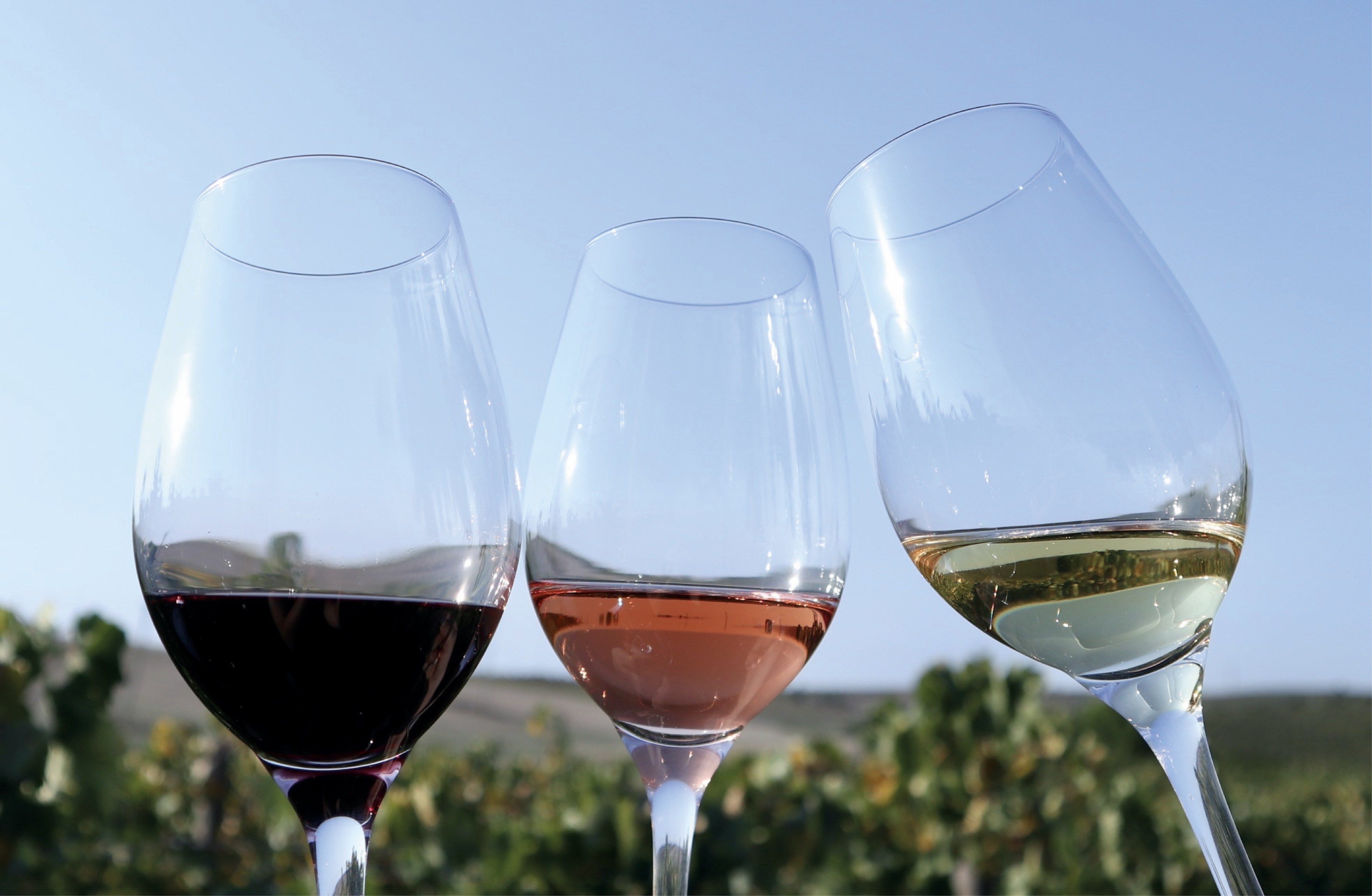 Dicas para provar e servir um vinho sem fazer má figura (e nunca, nunca julgue o vinho pela capa)