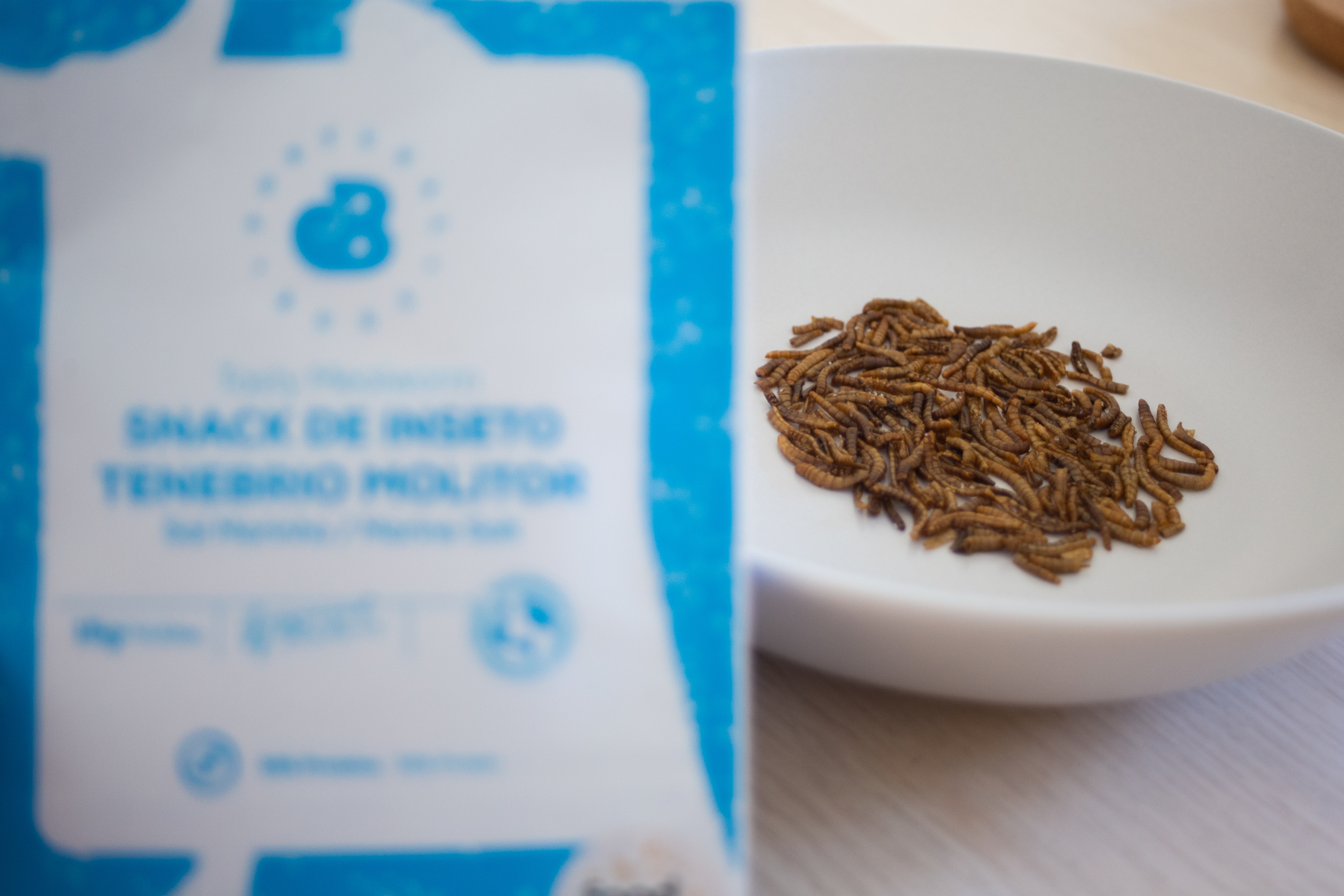 O Continente já vende insetos comestíveis. Conheça os snacks de larvas ou as barras proteicas de farinha de inseto