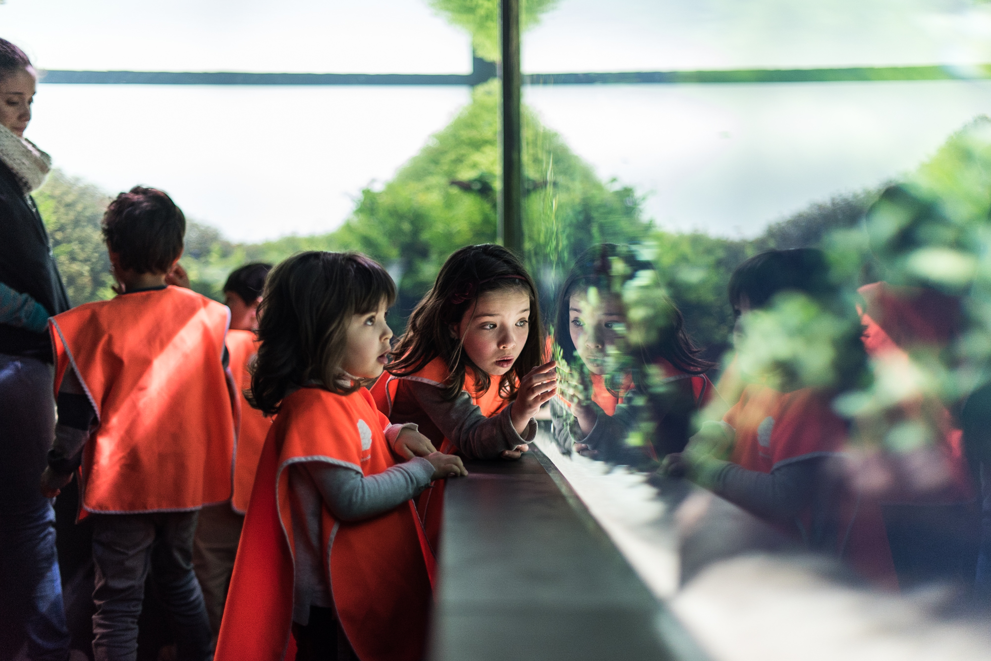 Este ícone nacional safa-lhe a vida nas férias de Natal dos miúdos. Saiba mais