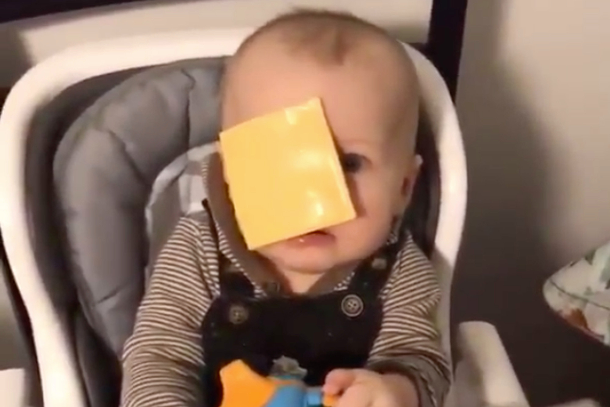 “Cheesed challenge”. Novo desafio da internet é atirar fatias de queijo à cara de bebés (sim, há gente a filmar isto)