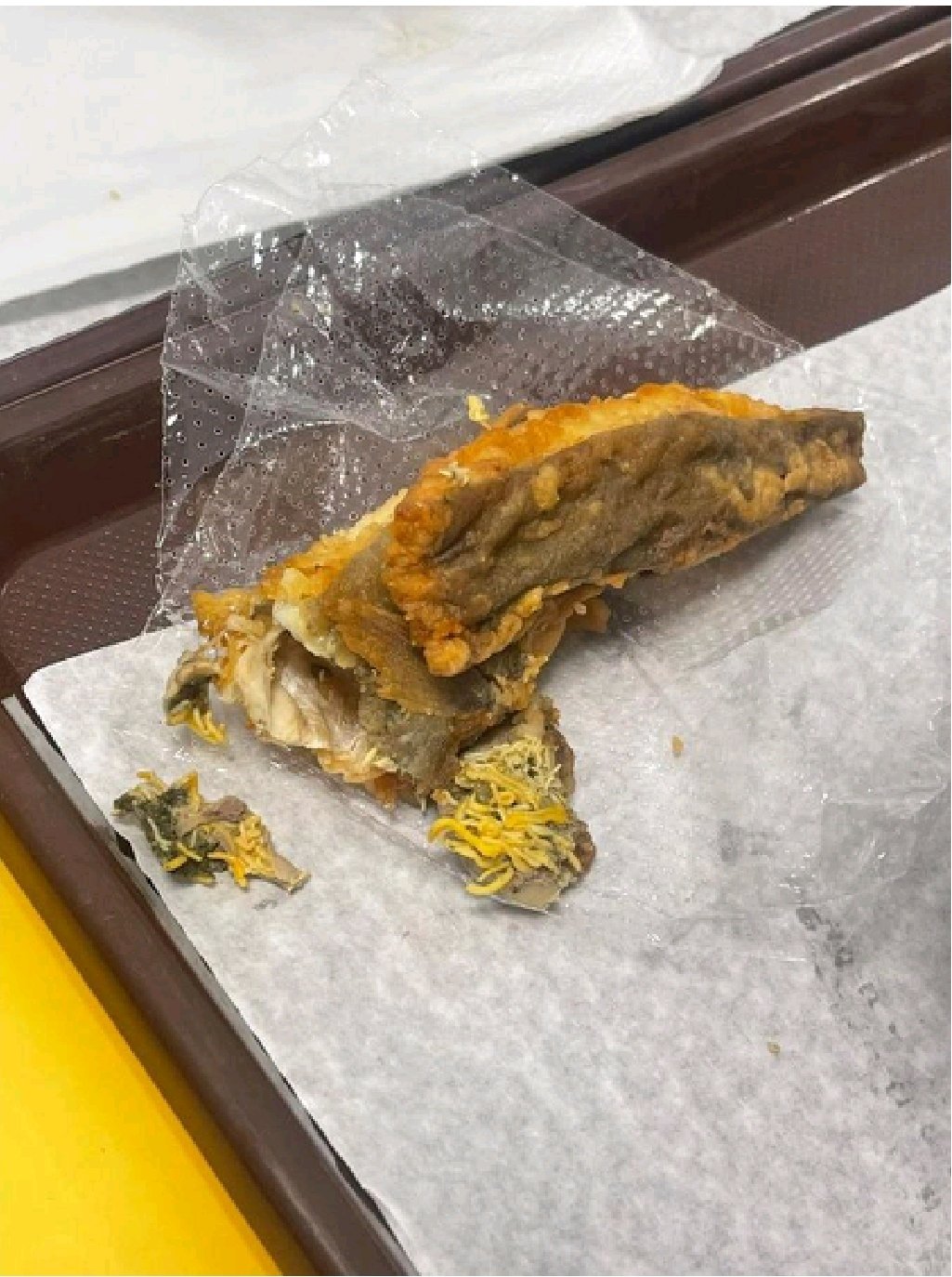 Escola algarvia serve comida com larvas aos alunos. Diretora terá dito que é normal e proibiu telemóveis