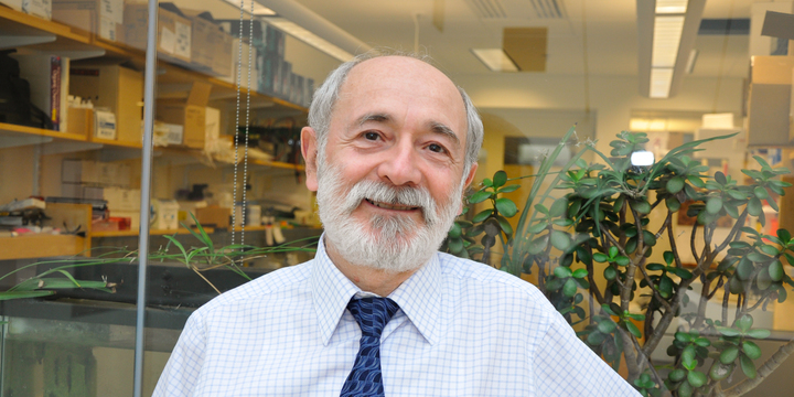 Investigador do MIT: “Tecnologias como Siri ou Alexa são incrivelmente estúpidas”