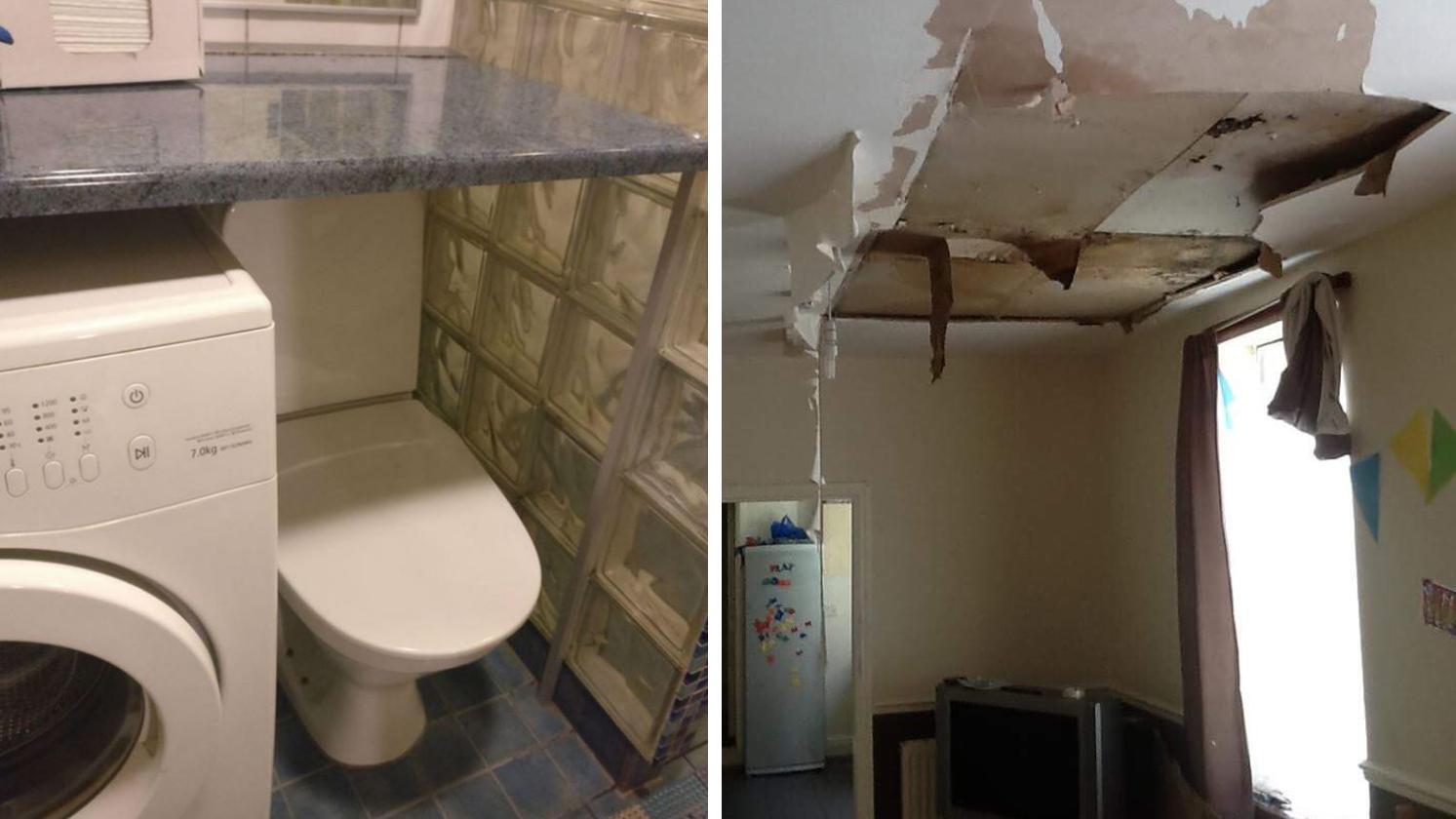 Inquilinos humilham senhorios nas redes sociais (e o resultado é hilariante)