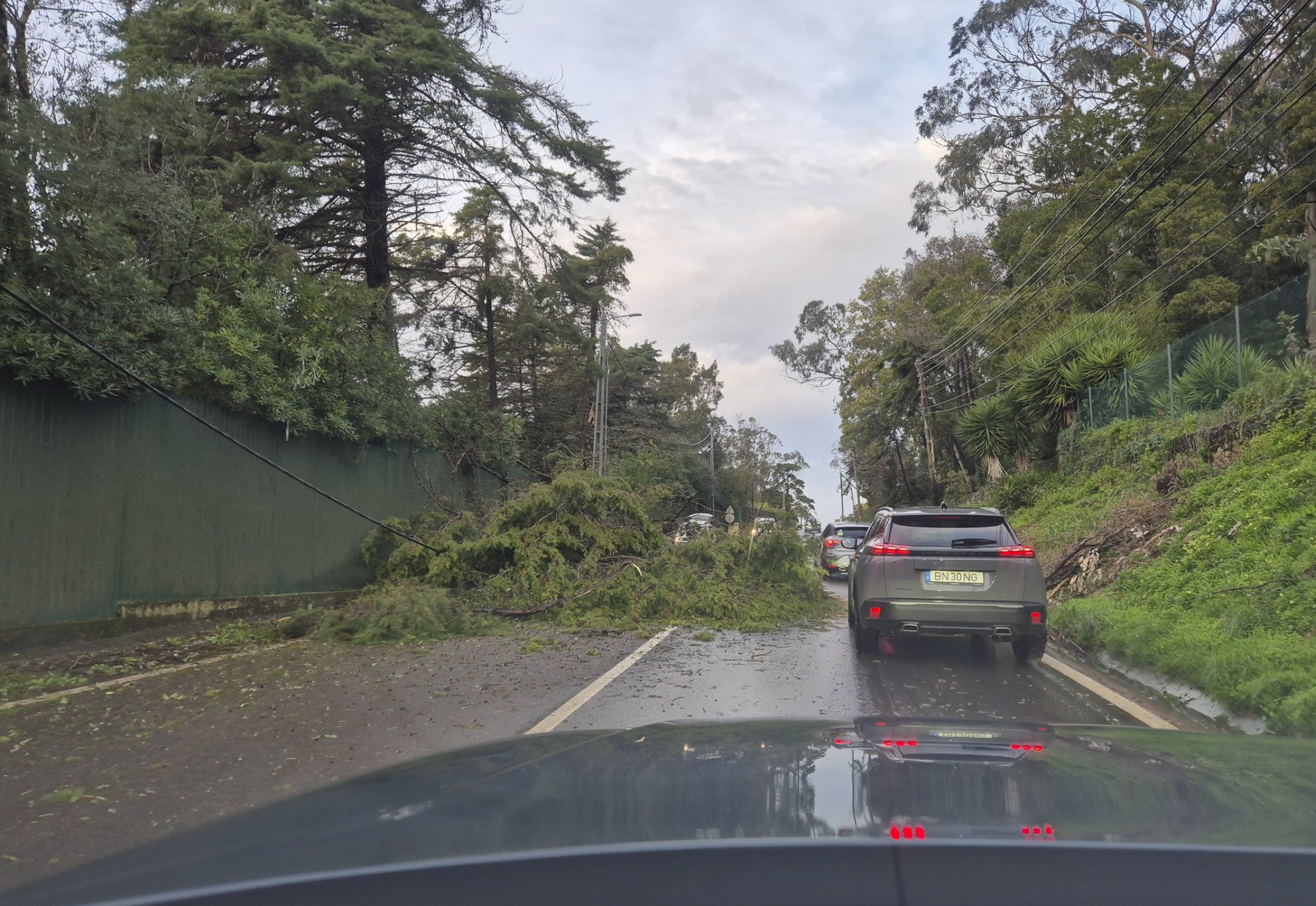 Vai chover todos os dias na próxima semana. Novas tempestades a caminho de Portugal, que está em alerta máximo