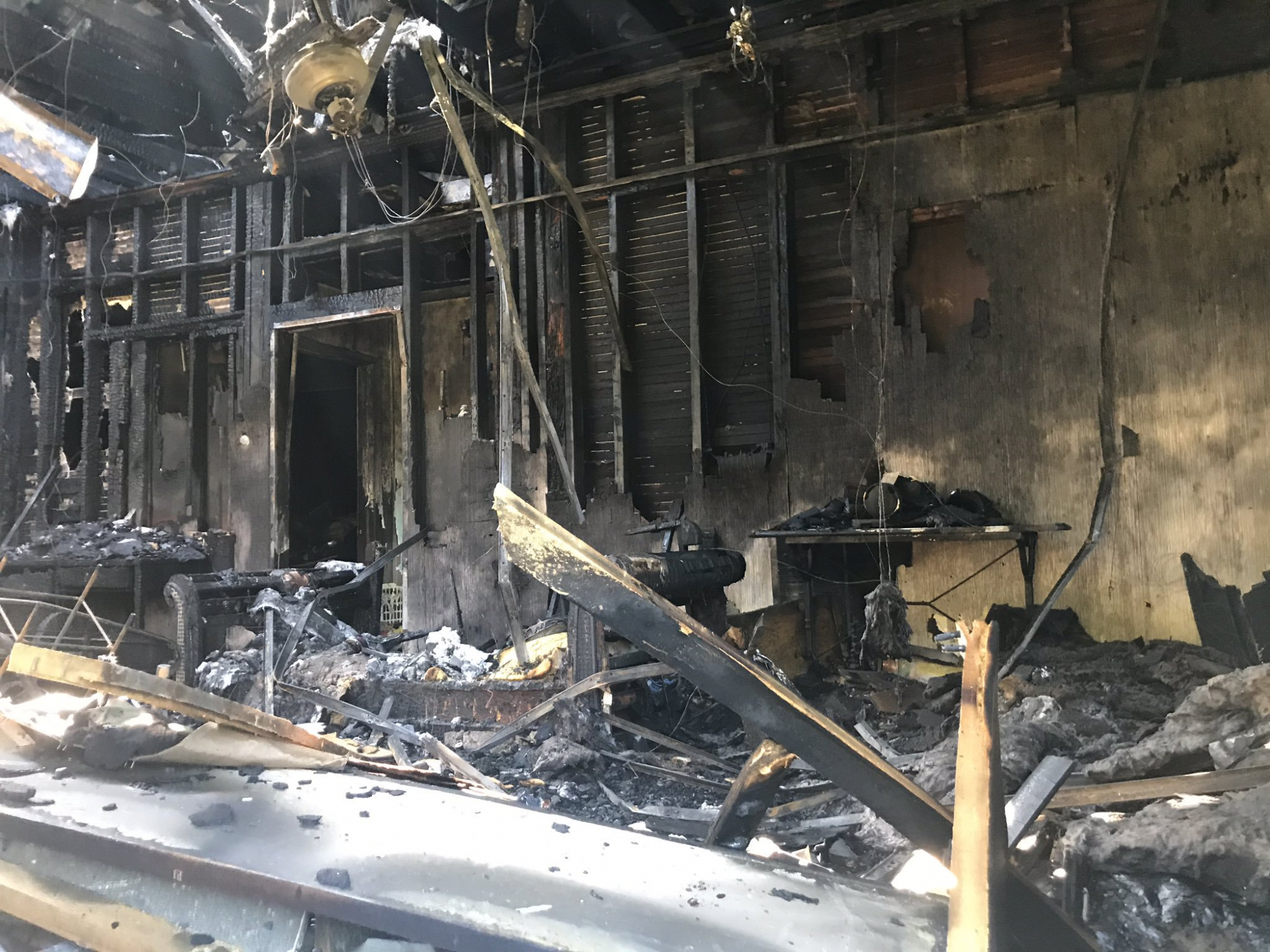 Zippy: o cão que salvou a família de um incêndio na casa (mas o episódio não tem um final feliz)