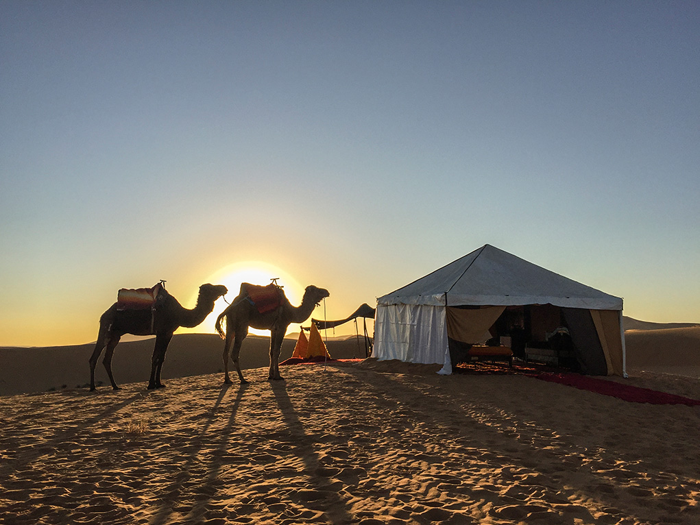Como é passar uma noite no deserto? Fomos descobrir