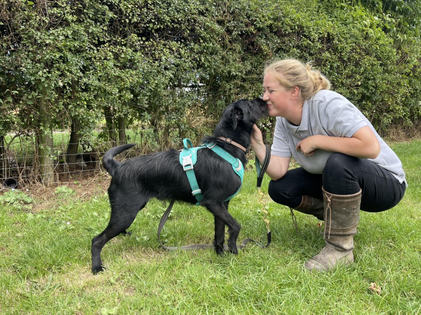 Dona de cão quis abater o animal por este ladrar quando se cruzava com pessoas e outros cães