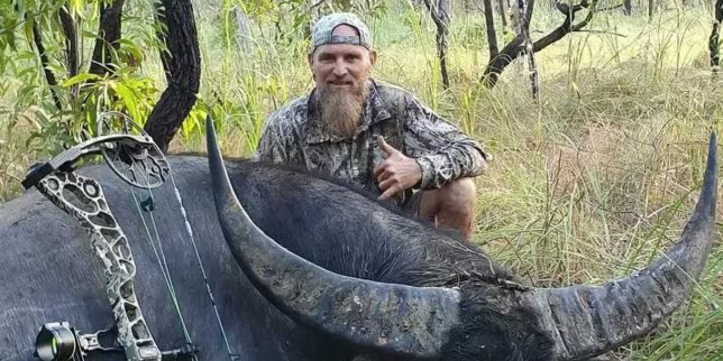 Caçador acreditava que tinha matado um búfalo, mas o animal estava vivo, atacou-o e deixou-o gravemente ferido