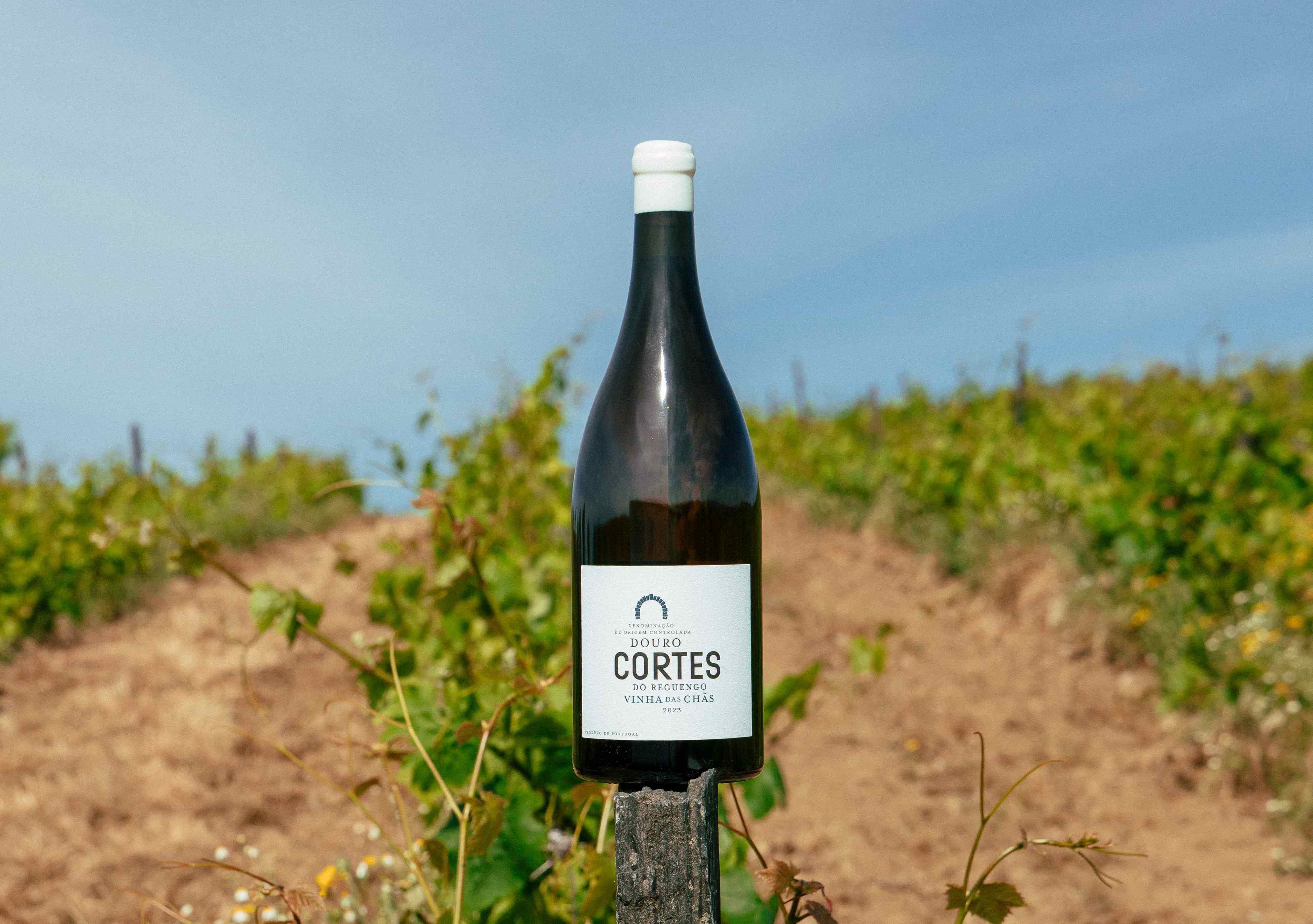 Este novo vinho branco com garrafa XL é para servir fresquinho e desfrutar nas jantaradas de verão