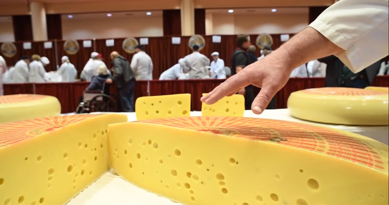 O melhor queijo do mundo é suíço e pode pesar até 35 quilogramas