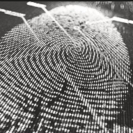 COVID-19. Carla Bruni finge ataques de tosse para cima de várias pessoas e é obrigada a desculpa-se