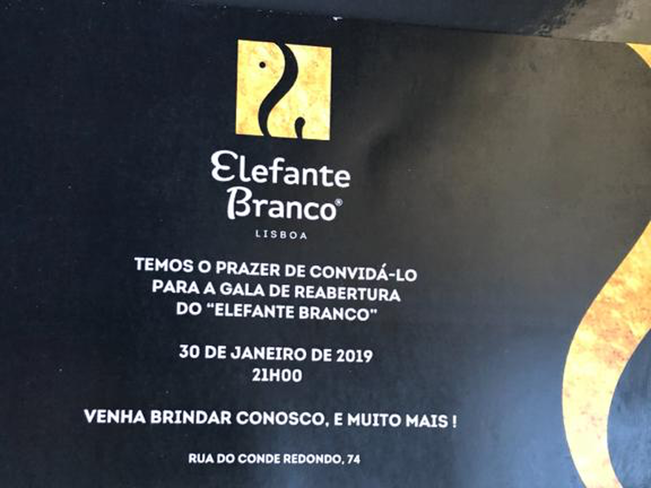 Elefante Branco O Melhor Bife De Lisboa Esta De Volta