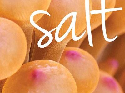 Ténis plataforma. A tendência que vai dar um up ao seu estilo