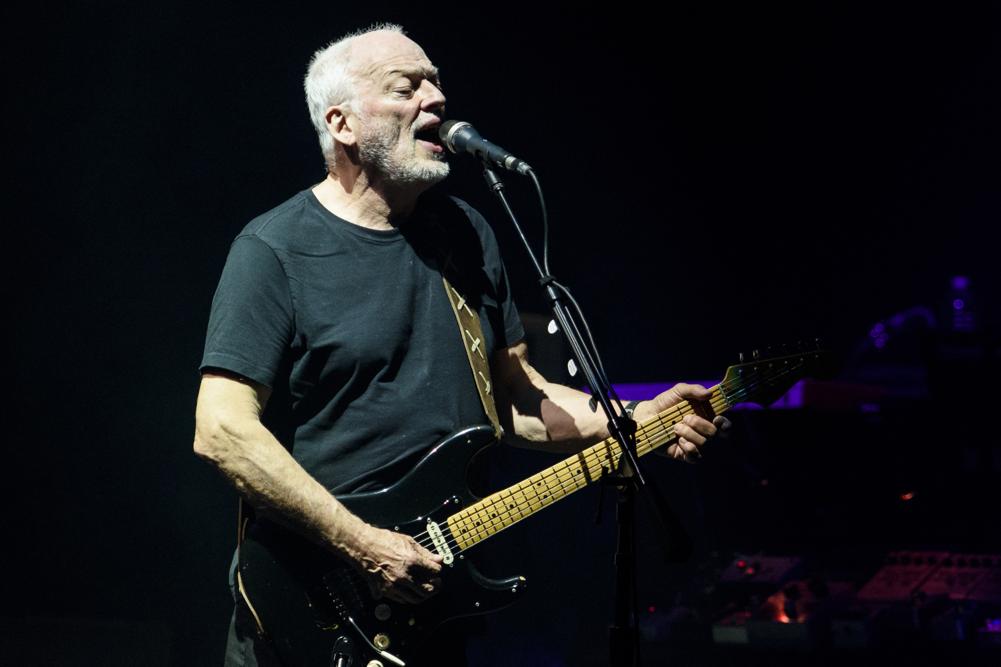 Coleção de guitarras de David Gilmour angaria mais de 18 milhões de euros