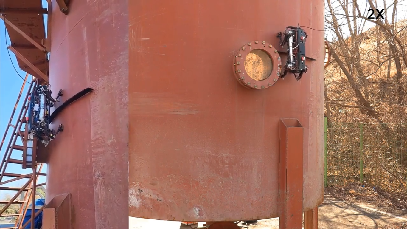 Camilla recebe menina cega e com tumor cerebral no castelo de Windsor (e até houve cantorias natalícias)