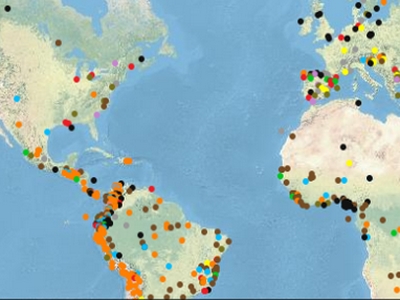 Black Friday. 17 produtos da Sephora para aproveitar já em semana de descontos
