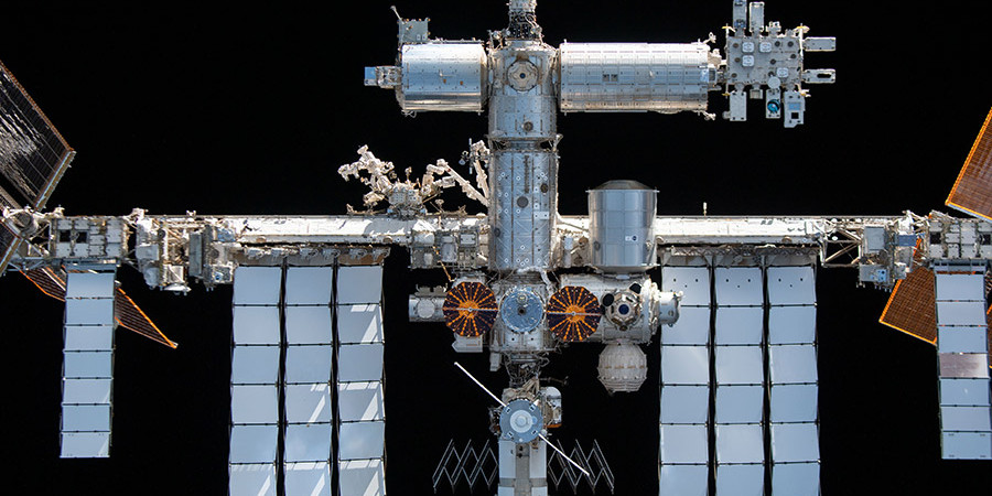 José Condessa desmente rumores de relação com Daniela Melchior. “Estou solteiro e feliz”