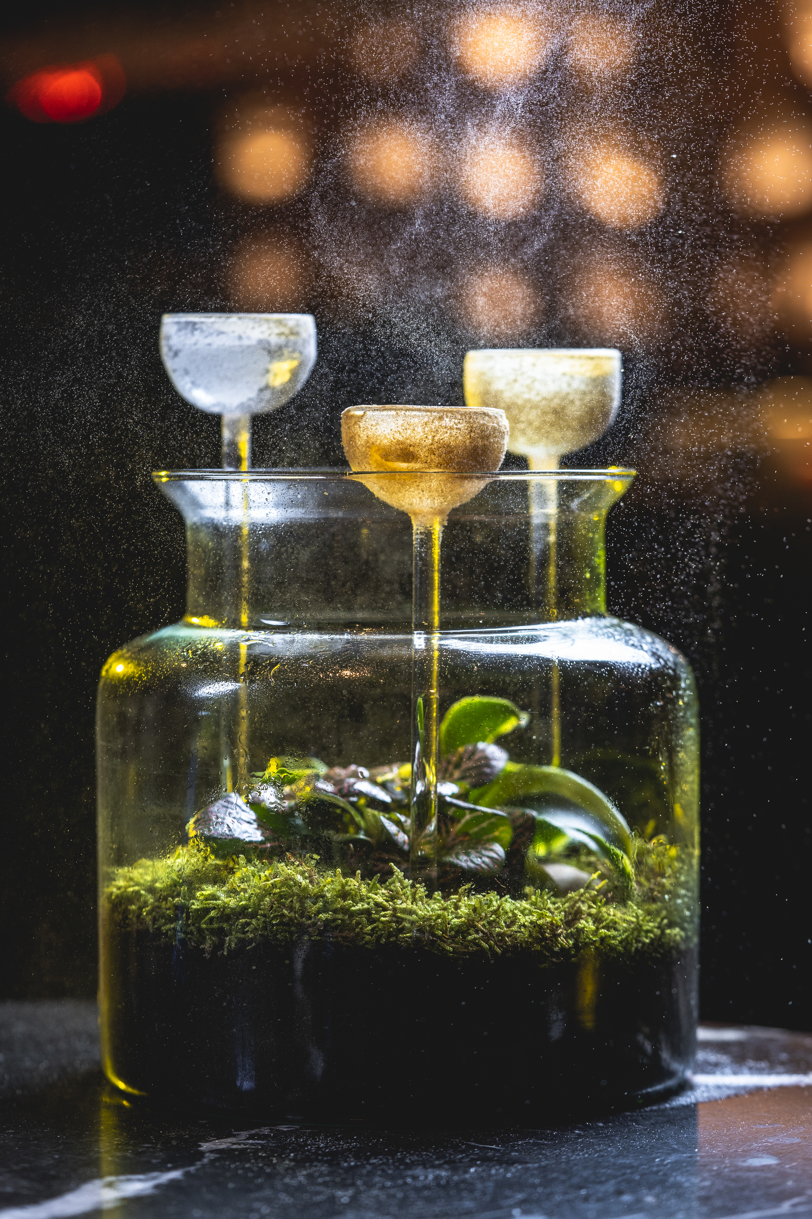 Os cocktails deste hotel no Porto são autênticas obras de arte (e o segundo é oferta da casa)