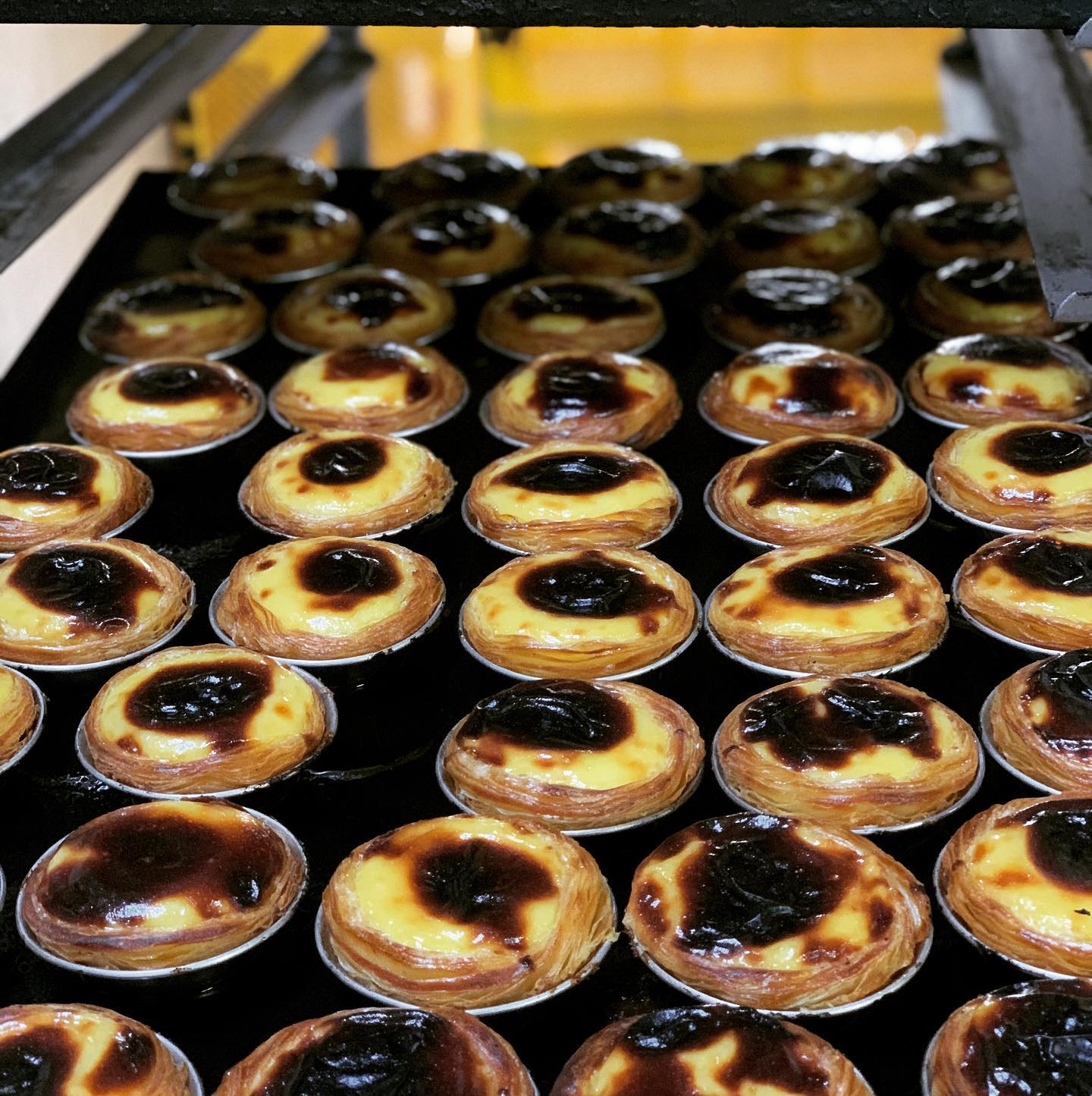 Está escolhido o melhor pastel de nata de 2021. Saiba como chegar até ele