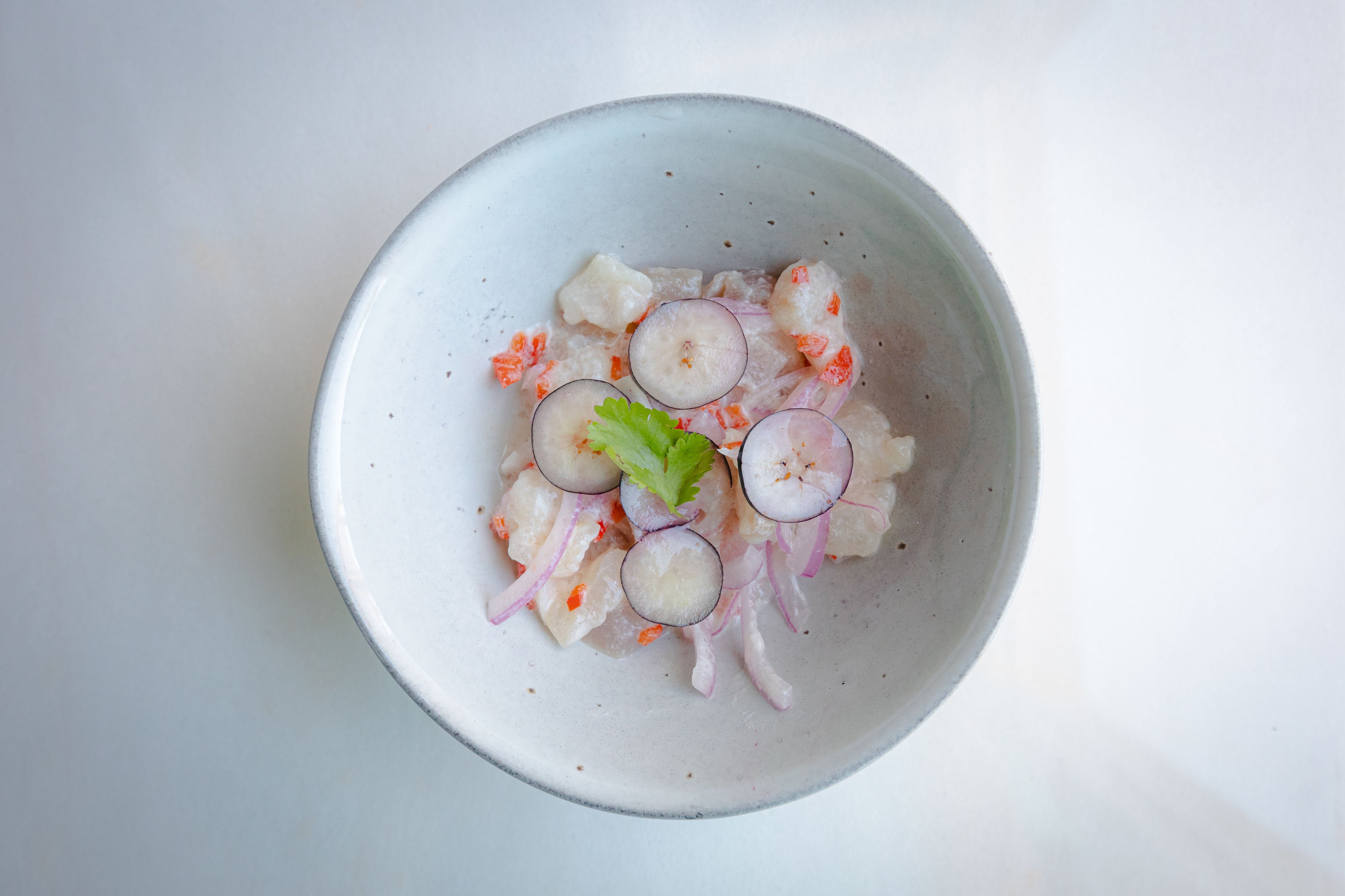 7 motivos para ir a Abrantes conhecer o restaurante A Velha (um deles, o ceviche de peixe do rio)