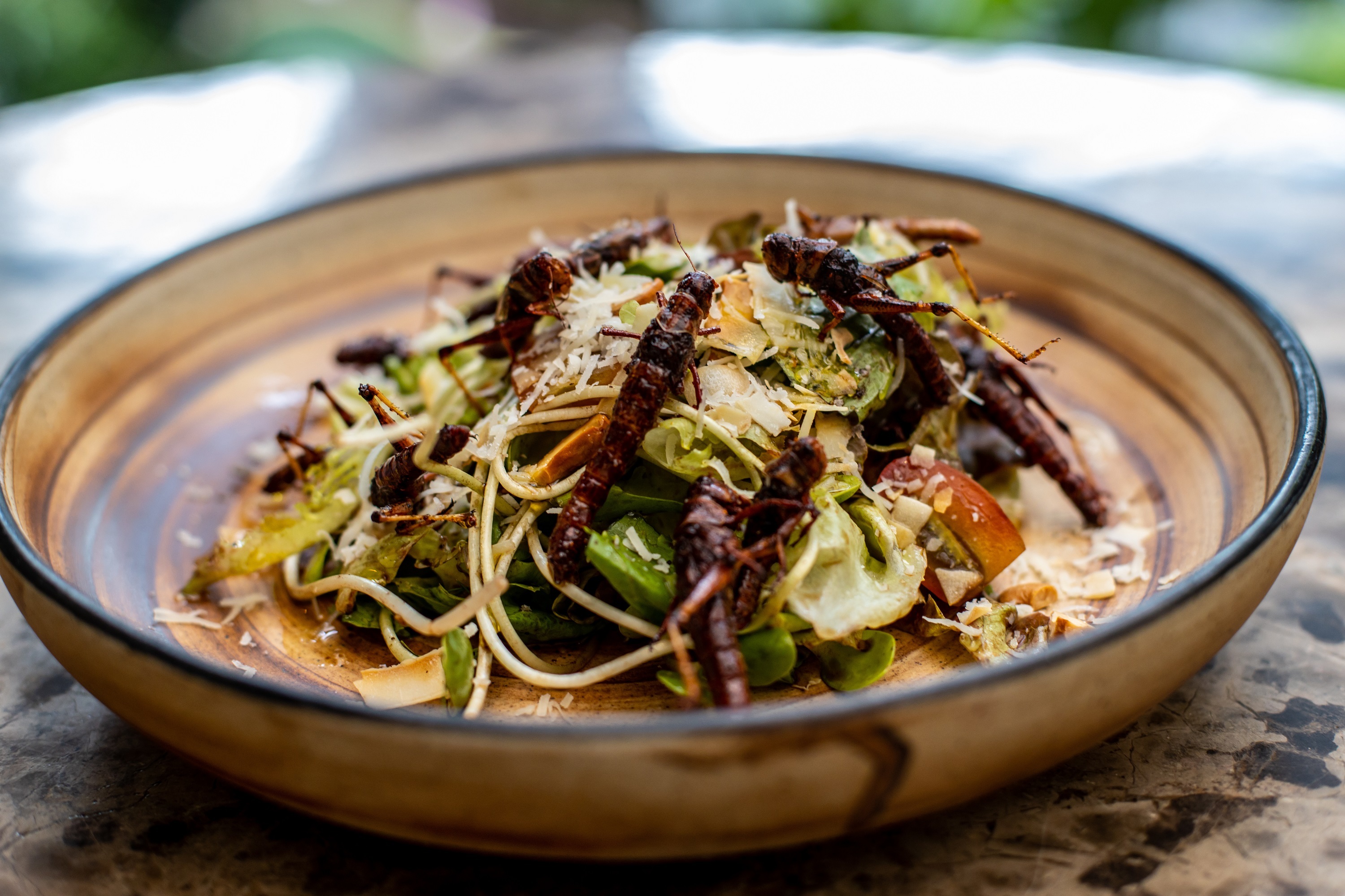 Brownie de larva, espetadas de grilo e poke bowl de gafanhotos. Atreve-se a provar isto (e mais)?
