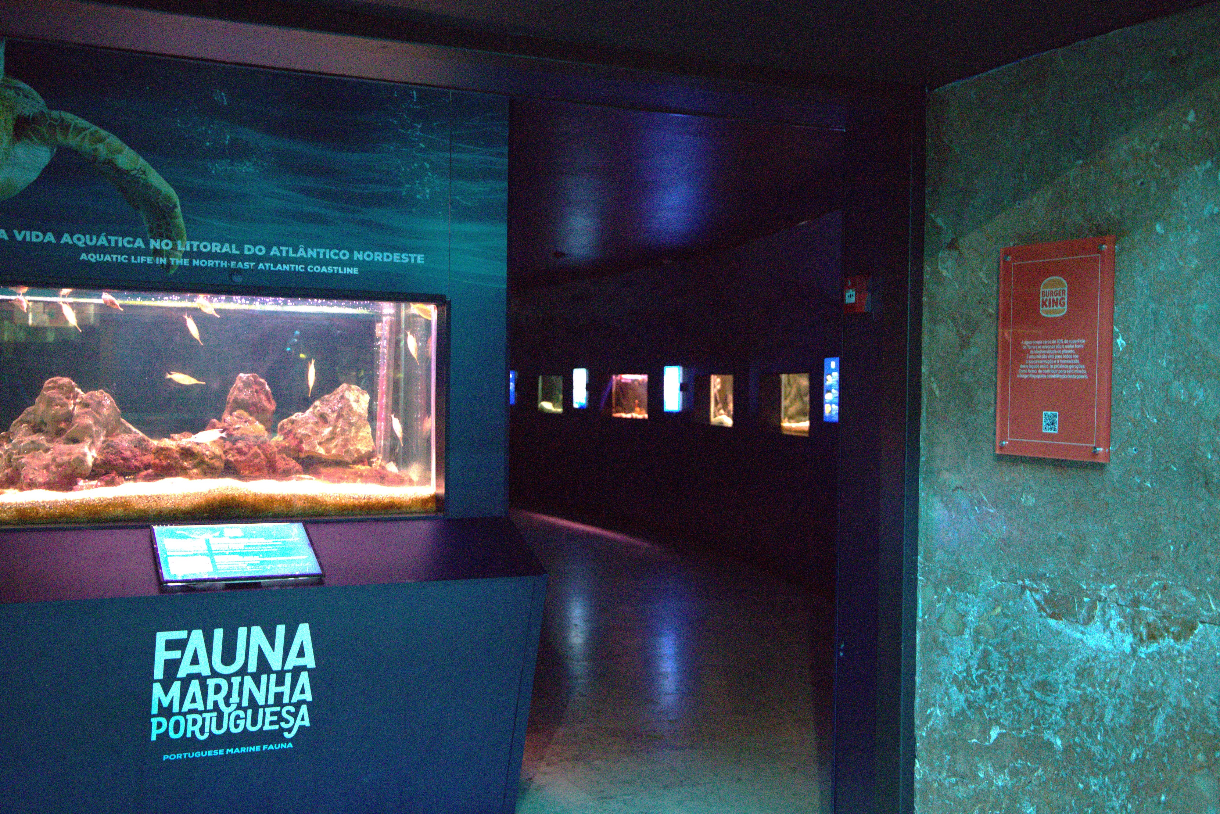 Tem de ir ao renovado Aquário Vasco da Gama. Está interativo e tem uma experiência mais imersiva