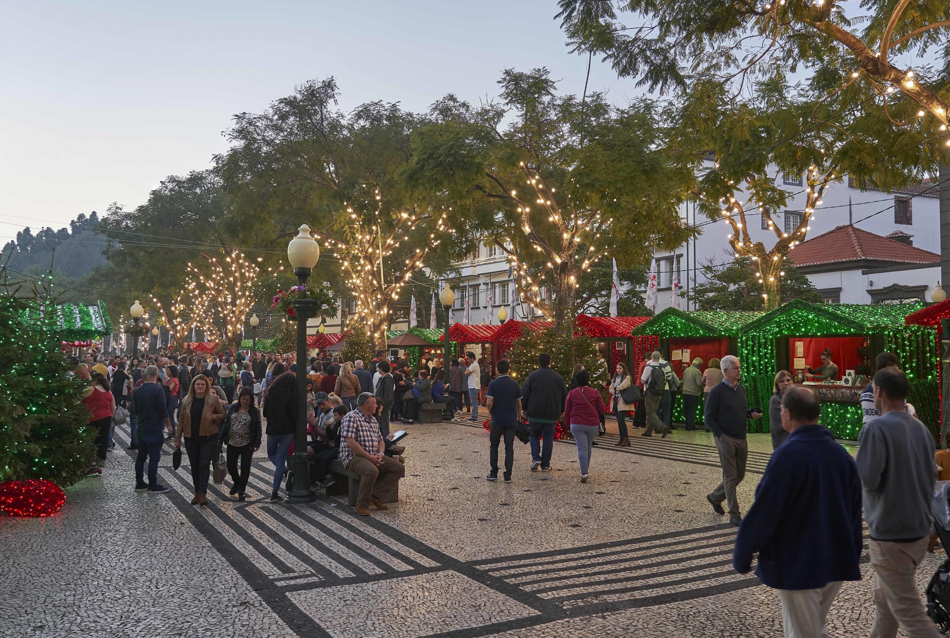 Natal inesquecível? Fomos comprovar que fica na Madeira — e é bem regado a poncha