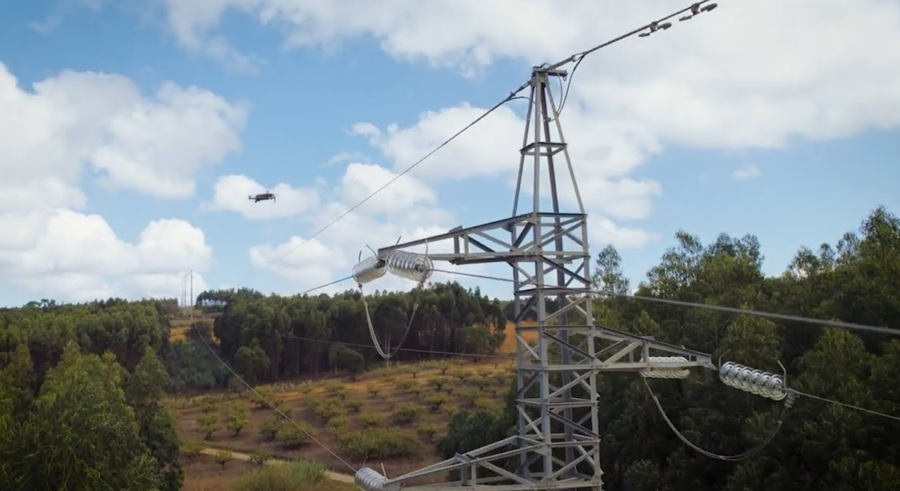 Analytics4Vegetation vence prémio Digital with Purpose com projeto para redes elétricas inteligentes