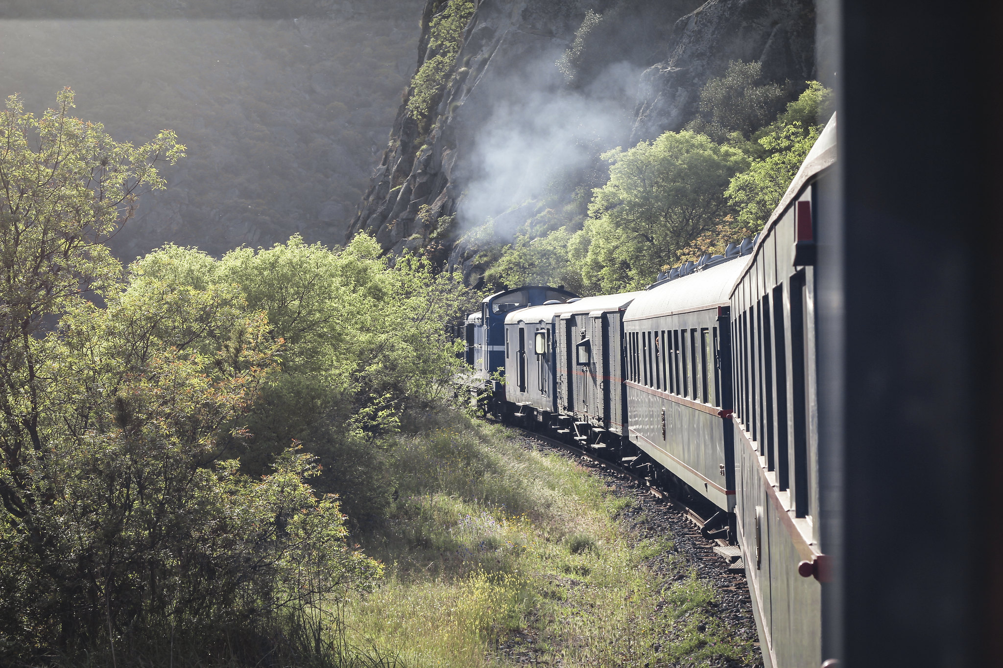 Passámos um dia no comboio presidencial (e nunca mais vamos andar de Alfa sem espumante na mão)