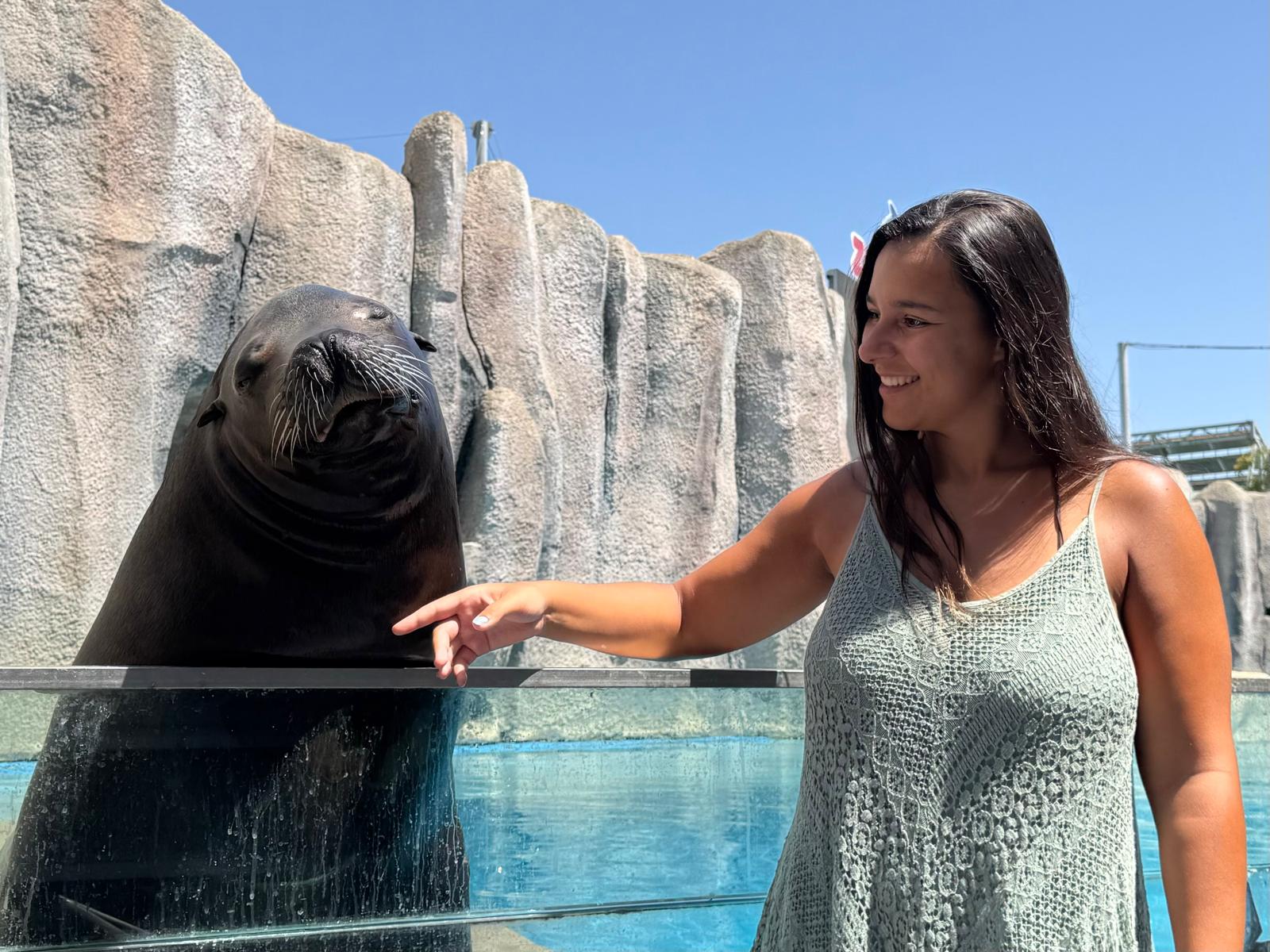 Fomos ao Zoomarine pela primeira vez. Do Anubis à montanha-russa, 5 motivos que tornam a visita obrigatória