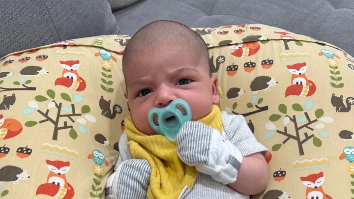 Cão mata bebé de 6 semanas enquanto este dormia. Mãe garante que ataque “não foi provocado”