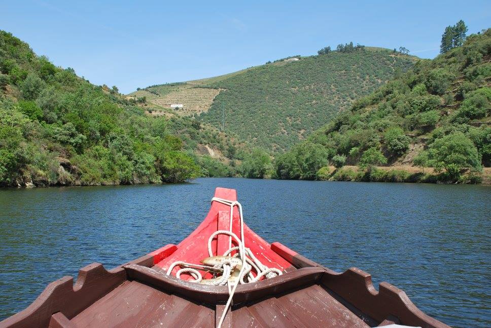 Já pode flutuar novamente nas águas do Douro. Barcos turísticos estão de volta